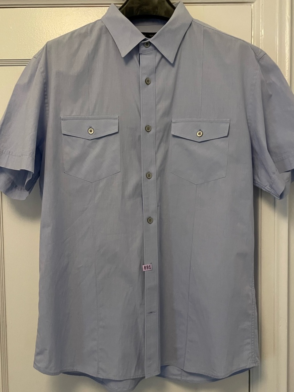 Banana Republic 100% Cotton Light Blue Stripe Short-Sleeve Button-Down Workshirt